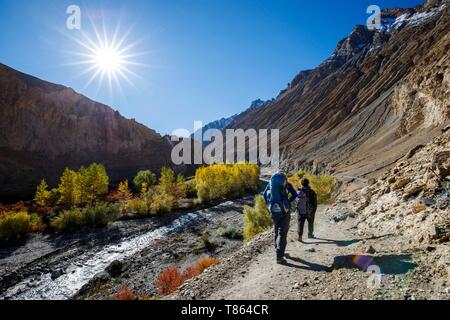 L'Inde, l'état de Jammu-et-Cachemire, Ladakh, Himalaya, Hemis National Park, trekking suite de refroidissement à Chogdo dans la vallée de Markha Banque D'Images