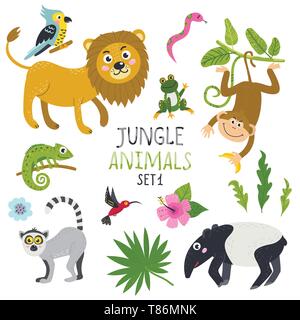 Vector set animaux de la jungle et de plantes. Les éléments bloqués pour autocollants, cartes, affiches et invite Illustration de Vecteur