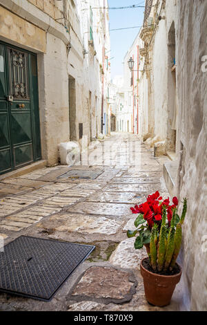 Vicolo di Ostuni aux maisons blanches Banque D'Images