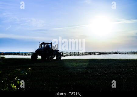 Tracteur avec l'aide d'un pulvérisateur de pulvérisations d'engrais liquides sur les jeunes dans le domaine du blé. L'utilisation de produits chimiques finement dispersées. Sur le tracteur Banque D'Images