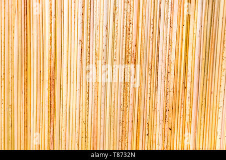 Mur de l'Uros personnes maison faite de roseaux en Uros Île flottante au lac Titicaca à Puno, Pérou Banque D'Images