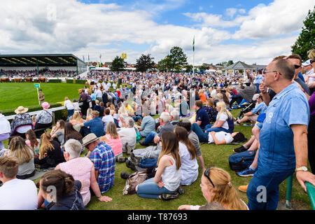 Foule de gens assis par principale tribune soleil, regarder Grand défilé du bétail (bétail et intermédiaires) - Le grand show du Yorkshire, Harrogate, England, UK. Banque D'Images