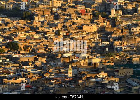 Le Maroc, Moyen Atlas, Fès, ville impériale, Fès el Bali, Quartier médina classée au Patrimoine Mondial de l'UNESCO, vue panoramique de la médina (vieille ville) de Merenid tombes Banque D'Images