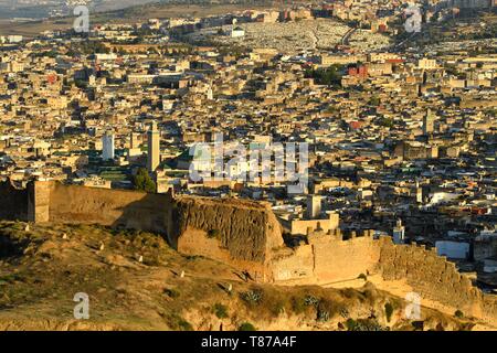 Le Maroc, Moyen Atlas, Fès, ville impériale, Fès el Bali, Quartier médina classée au Patrimoine Mondial de l'UNESCO, vue panoramique de la médina (vieille ville) de Merenid tombes Banque D'Images