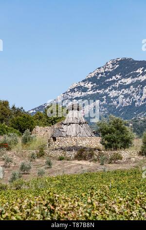 Italie, Sardaigne, Province de Nuoro, Dorgali, Supramonte di Urzulei, pineta (abri de berger) Banque D'Images