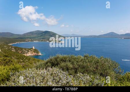 Italie, Sardaigne, Province de Sassari, Alghero, Parc Naturel Régional de Porto Conte, Pischina Salida Banque D'Images