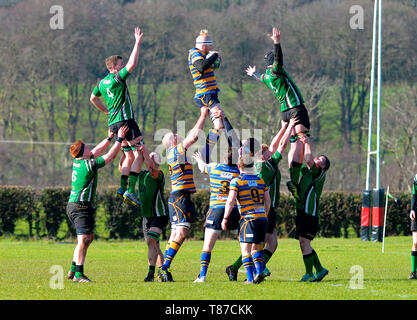 Au cours de l'alignement de la ville de Derry (en vert) et Bangor en match de rugby amateur irlandais. ©George Sweeney / Alamy Banque D'Images