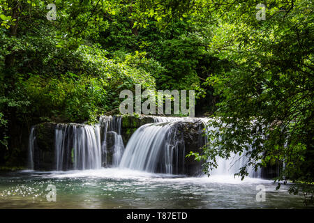 Chutes de Monte Gelato dans la Valle del Treja près de Mazzano Romano, lazio, Italie Banque D'Images