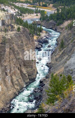 United States, Wyoming, Yellowstone National Park, Yellowstone River Canyon Banque D'Images