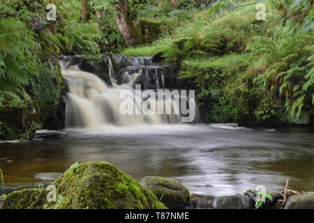 Petite cascade sur le ruisseau Banque D'Images