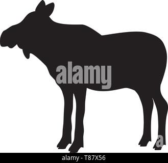 La femelle orignal wapiti animal mammifère silhouette noire Illustration de Vecteur