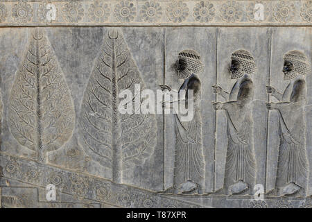 Le beau-fils dans les ruines de l'ancienne Persépolis complexe de la civilisation proche-orientale avec l'architecture perse, Sea - l'Iran. Banque D'Images