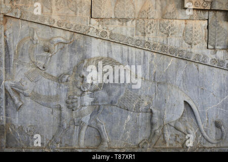 Le beau-fils dans les ruines de l'ancienne Persépolis complexe de la civilisation proche-orientale avec l'architecture perse, Sea - l'Iran. Banque D'Images