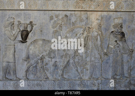 Le beau-fils dans les ruines de l'ancienne Persépolis complexe de la civilisation proche-orientale avec l'architecture perse, Sea - l'Iran. Banque D'Images