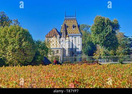 France, Côte d'Or, paysage culturel de climats de Bourgogne classé au Patrimoine Mondial de l'UNESCO, route des Grands Crus de Bourgogne, Côte de Beaune, Aloxe Corton, vignoble château Corton André Banque D'Images