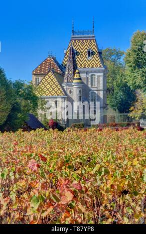 France, Côte d'Or, paysage culturel de climats de Bourgogne classé au Patrimoine Mondial de l'UNESCO, route des Grands Crus de Bourgogne, Côte de Beaune, Aloxe Corton, vignoble château Corton André Banque D'Images