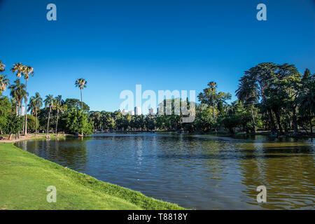 Printemps dans le lac du parc de Palermo, Buenos Aires, Argentine Banque D'Images