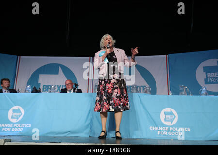 Au cours d'un Brexit Ann Widdecombe Partie rally tandis que sur la campagne électorale européenne trail à Durham. Banque D'Images