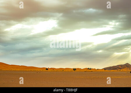 Hamada du Draa, désert de pierre marocain à l'aube dans l'avant-plan, les montagnes en arrière-plan, Maroc Banque D'Images