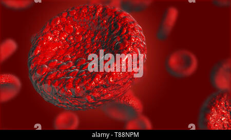 L'utilisation des globules rouges comme une illustration médicale est une image 3D et le mot est écrit. Banque D'Images