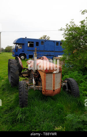 Old vintage tracteur Ferguson rouge rouille Banque D'Images