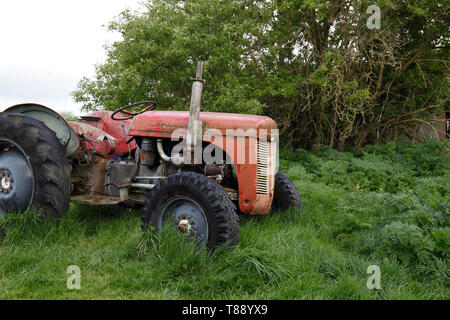 Old vintage tracteur Ferguson rouge rouille Banque D'Images