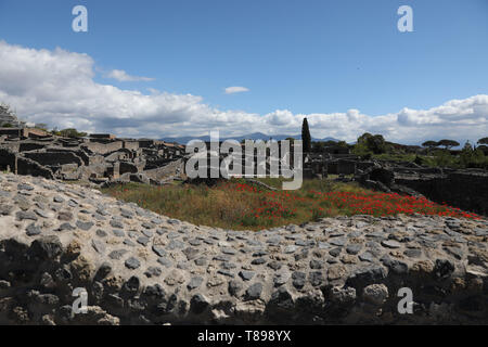 (190512) -- Pompéi, 12 mai 2019 (Xinhua) -- Photo prise le 30 avril 2019 montre le Parc Archéologique de Pompéi en Italie. Pompéi était une ancienne ville romaine près de Naples en Italie. Il a été enterré par une éruption du Vésuve en 79 après J.-C.. La ville offre maintenant un aperçu unique de la vie romaine, congelé à l'instant où il a été enterré, et fournit un aperçu détaillé de la vie quotidienne de ses habitants. (Xinhua/Cheng Tingting/avec la permission du parc archéologique de Pompéi) Banque D'Images