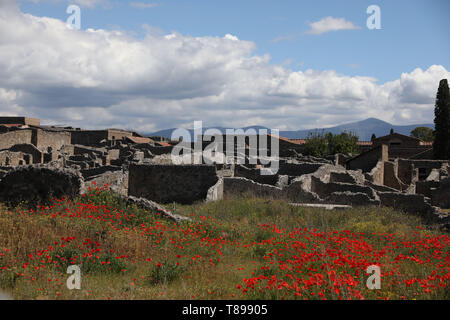 (190512) -- Pompéi, 12 mai 2019 (Xinhua) -- Photo prise le 30 avril 2019 montre le Parc Archéologique de Pompéi en Italie. Pompéi était une ancienne ville romaine près de Naples en Italie. Il a été enterré par une éruption du Vésuve en 79 après J.-C.. La ville offre maintenant un aperçu unique de la vie romaine, congelé à l'instant où il a été enterré, et fournit un aperçu détaillé de la vie quotidienne de ses habitants. (Xinhua/Cheng Tingting/avec la permission du parc archéologique de Pompéi) Banque D'Images