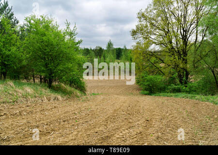 Printemps paysage rural en Pologne. Champ fraîchement labourés, sillons, feuilles vertes dans les arbres, forêt en arrière-plan, ciel nuageux. Banque D'Images