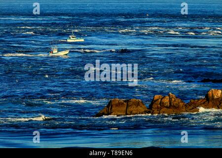 La France, Finistère, Iroise, Cap Sizun, Audierne, Pointe du Raz, les pêcheurs dans les courants entre la pointe du Raz et le phare de la vieille, classée Grand Site National Banque D'Images