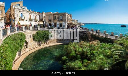 Italie, Sicile, Syracuse, le centre historique sur l'île d'Ortigia, UNESCO World Heritage site, Fontaine de Arethusa Banque D'Images