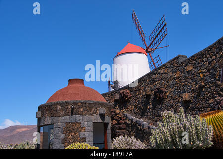 Vue sur jardin de cactus avec son moulin à vent, jardin de cactus à Guatiza, Lanzarote, îles Canaries, Espagne Banque D'Images