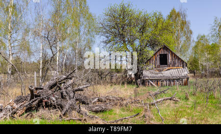 Petite maison abandonnée au Bélarus zone d'exclusion de Tchernobyl, a récemment ouvert pour le public d'avril 2019. Banque D'Images