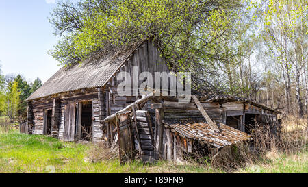 Petite maison abandonnée au Bélarus zone d'exclusion de Tchernobyl, a récemment ouvert pour le public d'avril 2019. Banque D'Images