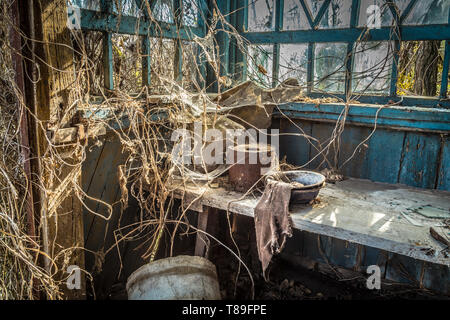 Petite maison abandonnée au Bélarus zone d'exclusion de Tchernobyl, a récemment ouvert pour le public d'avril 2019. Banque D'Images