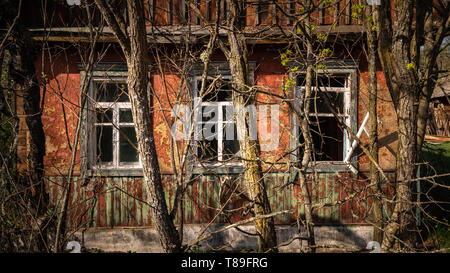 Petite maison abandonnés envahis par les arbres en fleurs et de bush au Bélarus zone d'exclusion de Tchernobyl, a récemment ouvert pour le public d'avril 2019. Banque D'Images