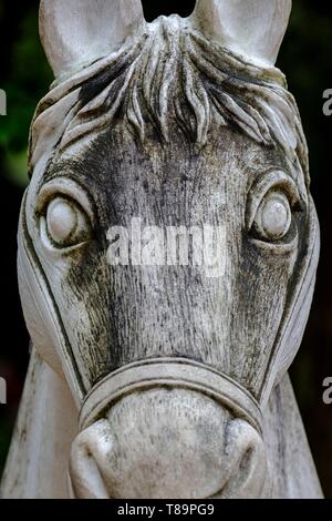 Vietnam, Hoa Lu, Dinh Tien Hoang temple, construit au 10 ème et restauré en 15 ème. siècle, statue de Cheval détail Banque D'Images