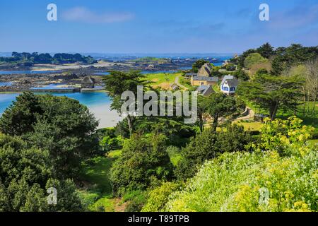 France, Cotes d'Armor, ile de Brehat, panorama de la chapelle Saint Michel sur l'embouchure du Trieux et le moulin à marée du Birlot, construit en 1632 Banque D'Images