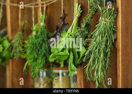 Herbes fraîches hanging on string Banque D'Images