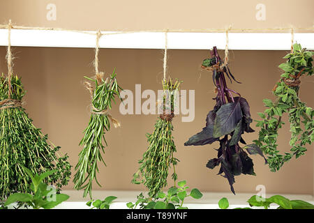 Bouquets de fines herbes hanging on string Banque D'Images