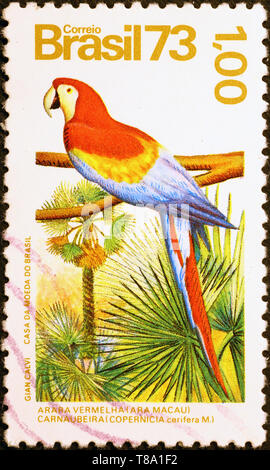 Ara rouge sur timbre brésilien Banque D'Images