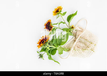 Tournesols dans un sac-filet, isolé sur fond blanc. Banque D'Images