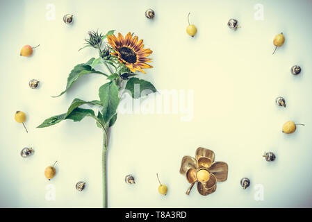 Cadre fait de tournesol et pommes de décoration, esprit vintage. Banque D'Images