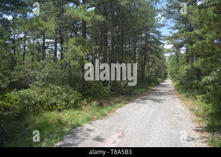 Route de terre vide dans une zone protégée contre le développement en Westhampton Beach Park, New York Banque D'Images