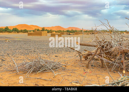 Hamada du Draa, désert de pierre marocain à l'aube, avec des branches sèches et à l'avant-plan, un village et des dunes de sable à l'arrière-plan, Maroc Banque D'Images