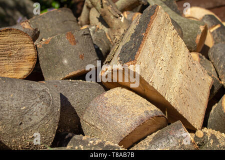 Une pile de grumes fraîchement coupé, prêt pour la gravure. Banque D'Images