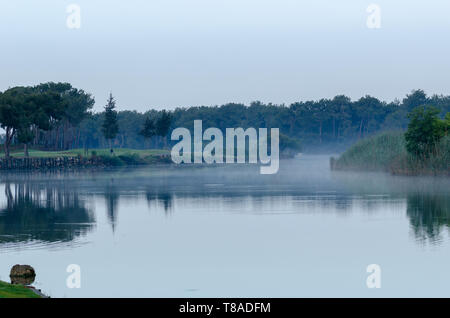 Rivière calme qui s'écoule doucement à travers des paysages forestiers.Il y a la réflexion et le brouillard sur la rivière. Lieu : Antalya en Turquie . Banque D'Images