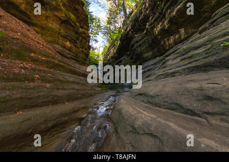 L'eau qui coule à travers les parois du canyon. Canyon français, Starved Rock State Park, Illinois Banque D'Images