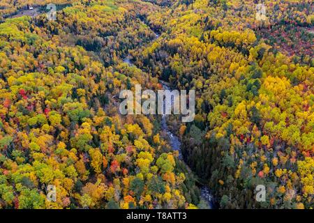 Canada, province de Québec, la région de Charlevoix vu du ciel, rivière et forêt aux couleurs de l'été indien (vue aérienne) Banque D'Images