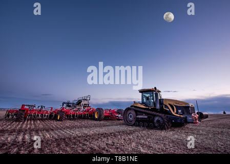 Swift Current, SK/Canada- 10 mai 2019 : Pleine lune sur tracteur Caterpillar Bourgault et percer dans le domaine de l'air pour l'ensemencement en Saskatchewan, Canada Banque D'Images